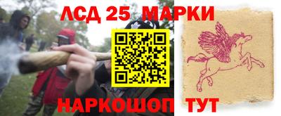 индика Кимры