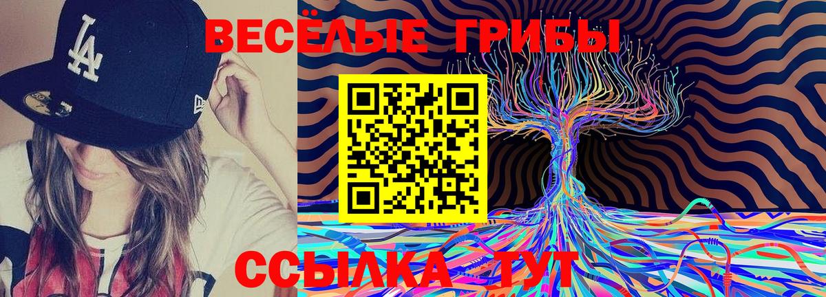 Красный Сулин  Галлюциногенные грибы ЛСД  Вход с VPN 