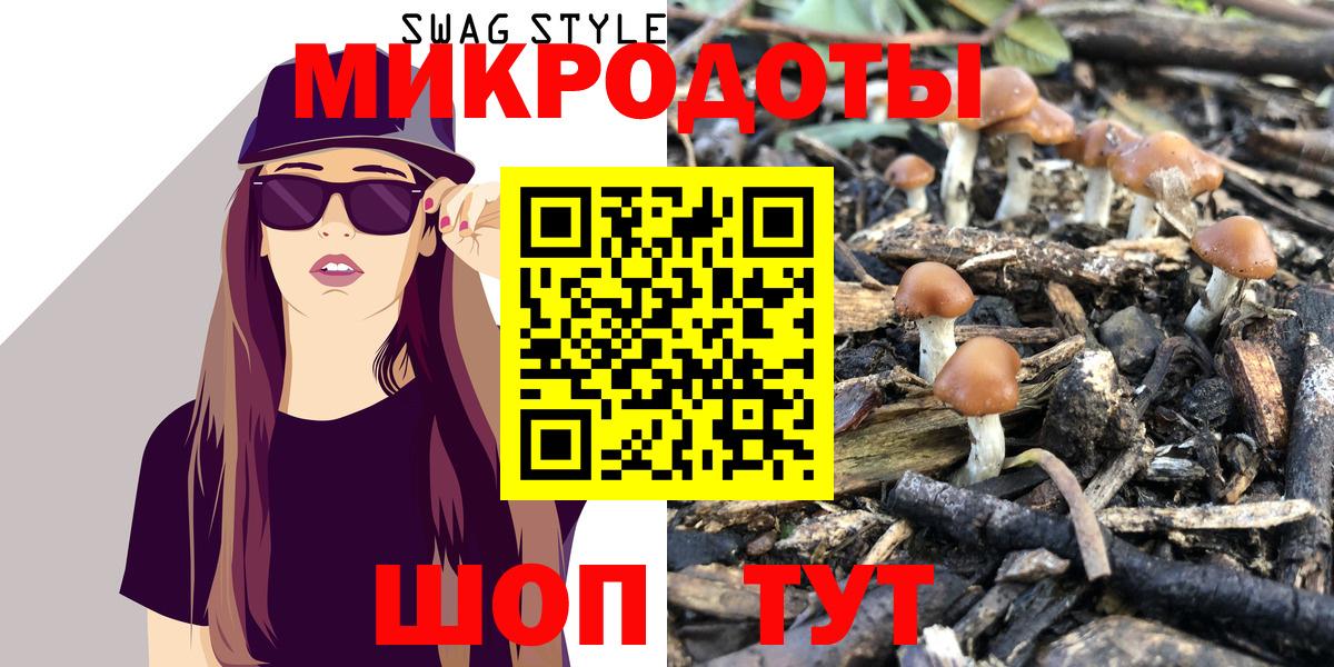Псилоцибиновые грибы Psilocybe Красный Сулин